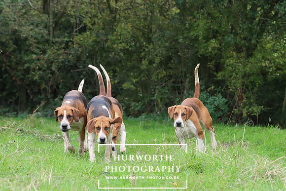 Hurworth Hunt 3