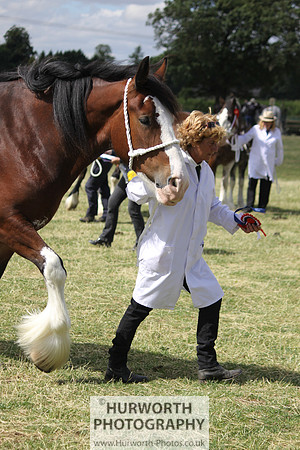 2013 Osmotherley Show 173