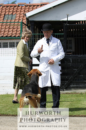 Hurworth Hunt Puppy Show 003
