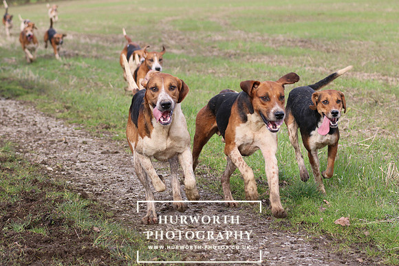 Hurworth Hunt 383