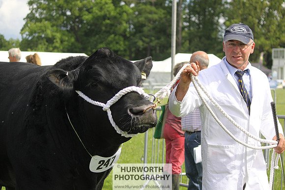North Yorkshire County Show 046