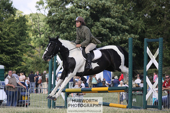 2013 Osmotherley Show 314