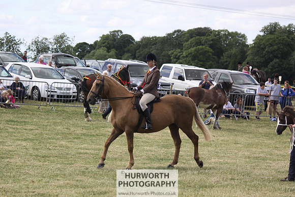 2013 Osmotherley Show 244