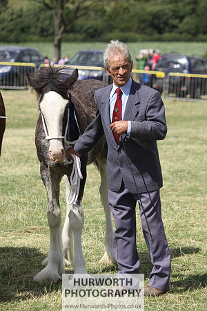 2013 Osmotherley Show 162