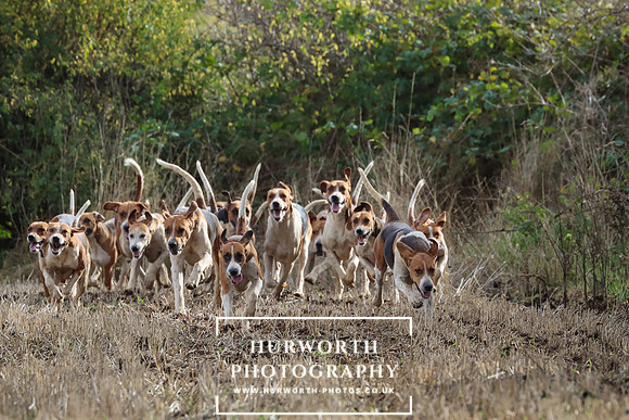 Hurworth Hunt 2