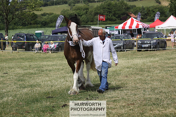 2013 Osmotherley Show 090