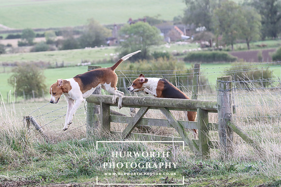 Hurowth Hunt 73