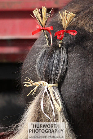 2013 Osmotherley Show 012