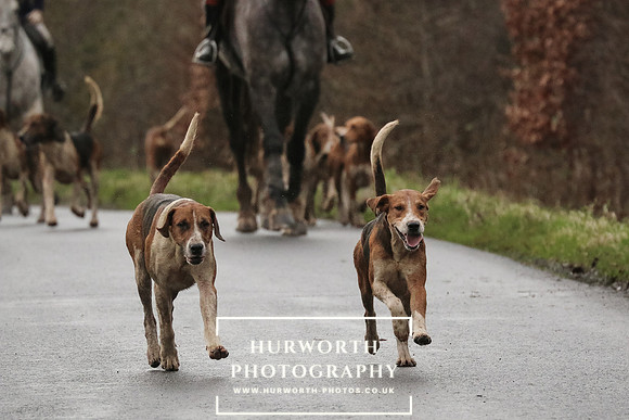 Hurworth Hunt 189