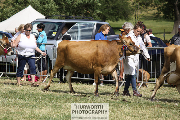 2013 Osmotherley Show 187