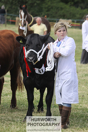 2013 Osmotherley Show 208