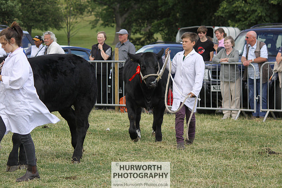 2013 Osmotherley Show 203