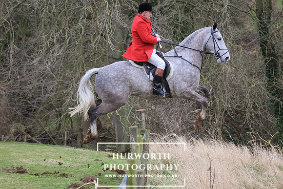 Hurworth Hunt 303