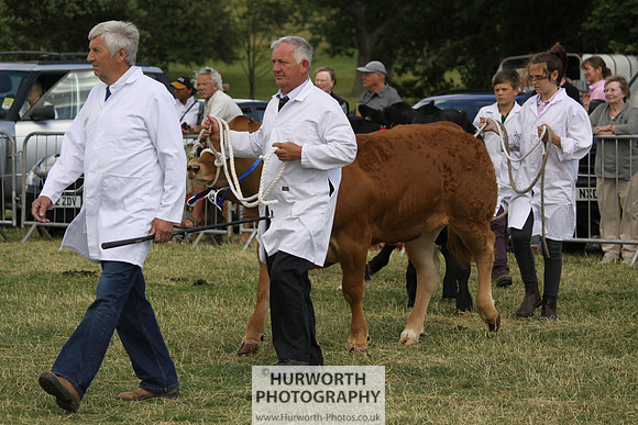 2013 Osmotherley Show 201