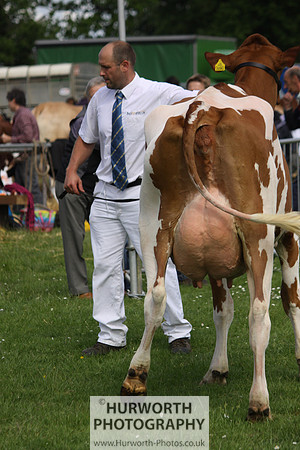North Yorkshire County Show 039