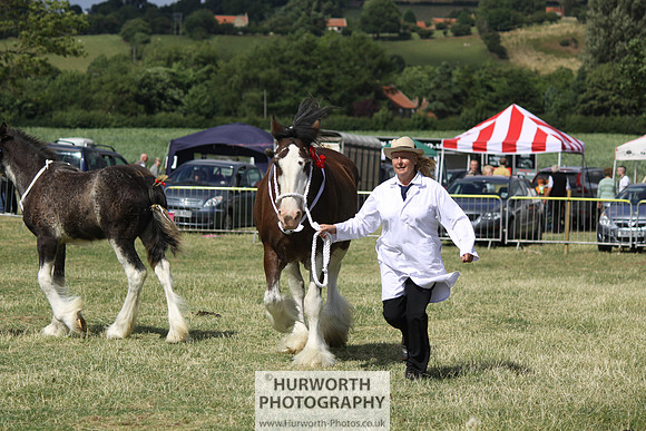2013 Osmotherley Show 159