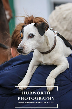 Hurworth Hunt 059