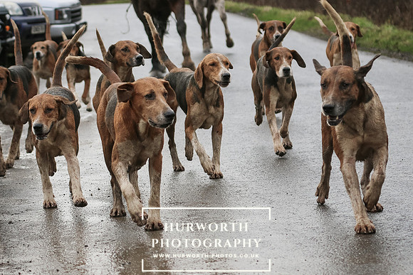 Hurworth Hunt 203