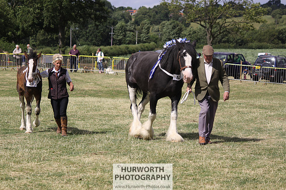 2013 Osmotherley Show 163