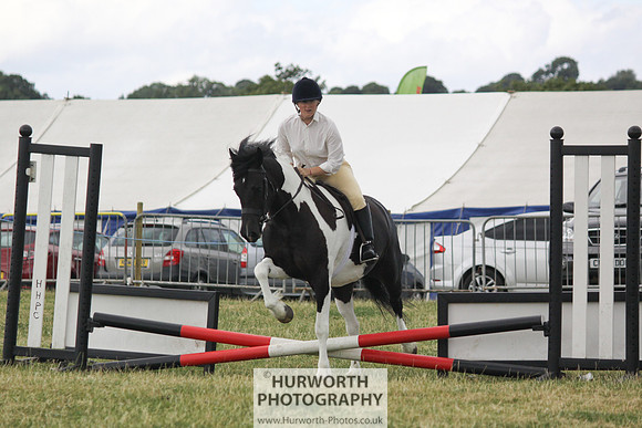 2013 Osmotherley Show 038