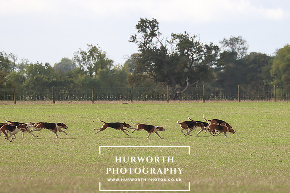 Hurowth Hunt 25