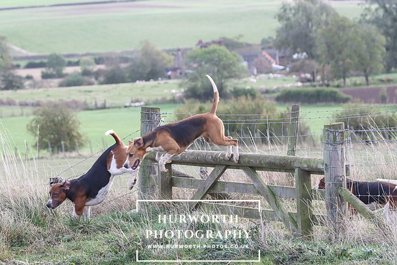 Hurowth Hunt 79