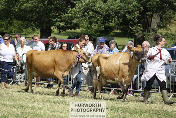 2013 Osmotherley Show 185