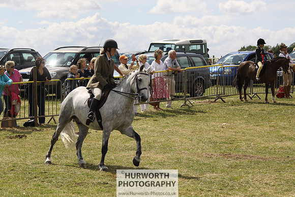 2013 Osmotherley Show 134