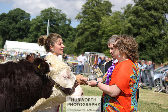 2013 Osmotherley Show 215