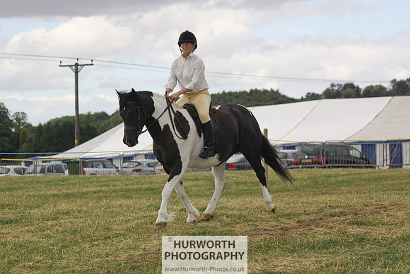 2013 Osmotherley Show 039