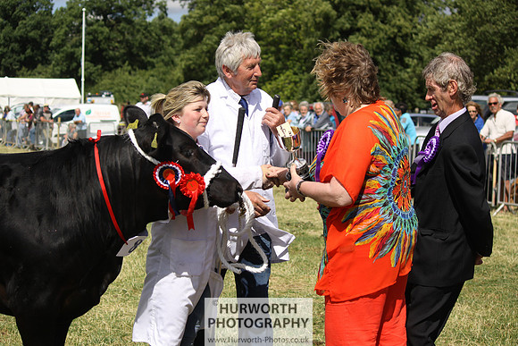 2013 Osmotherley Show 223