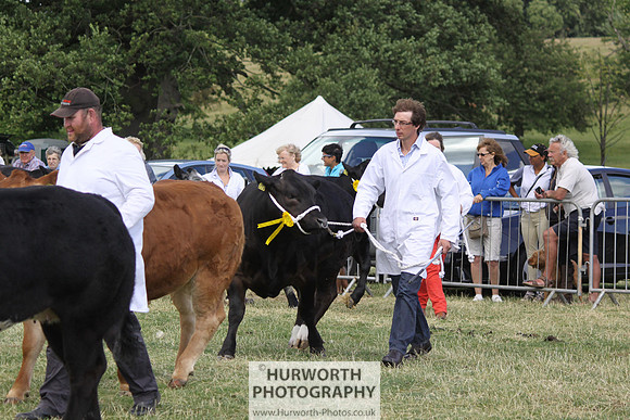 2013 Osmotherley Show 204