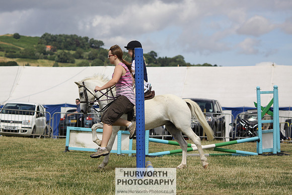 2013 Osmotherley Show 068