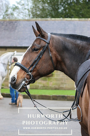 Hurworth Hunt 067