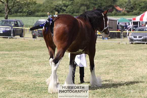 2013 Osmotherley Show 175