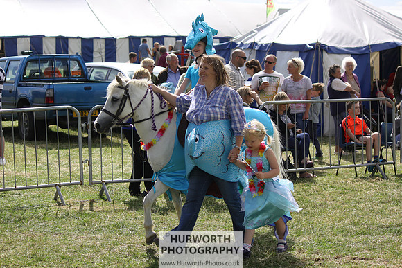 2013 Osmotherley Show 267