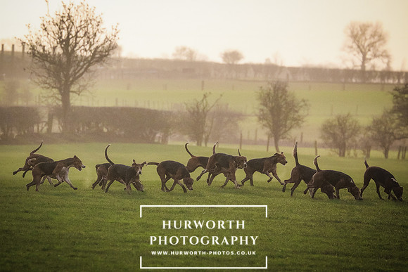 Hurworth Hunt 222