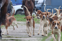 Hurowth Hunt 32