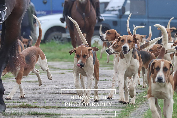 Hurowth Hunt 32