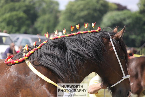 2013 Osmotherley Show 179