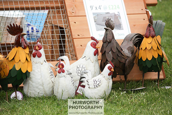 North Yorkshire County Show 004