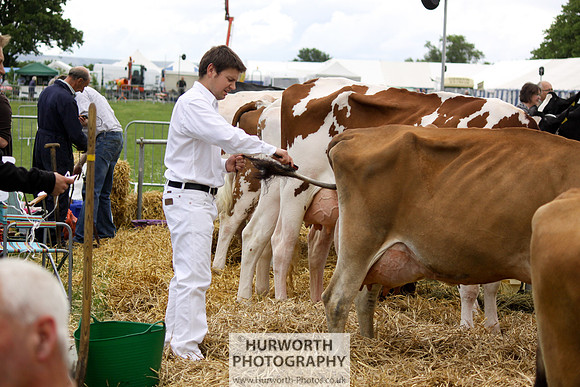 North Yorkshire County Show 014