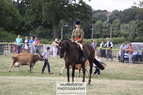 2013 Osmotherley Show 234