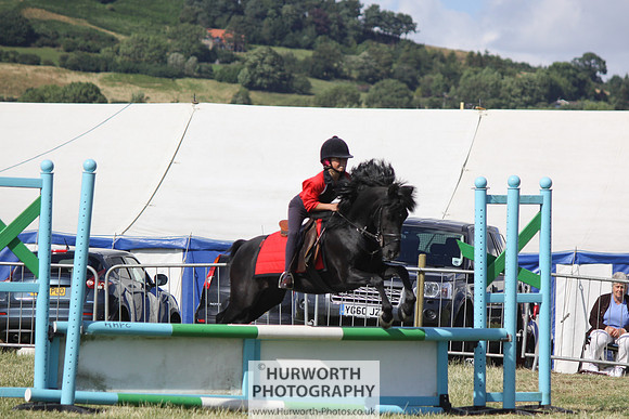 2013 Osmotherley Show 297