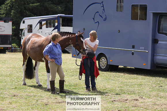 2013 Osmotherley Show 078