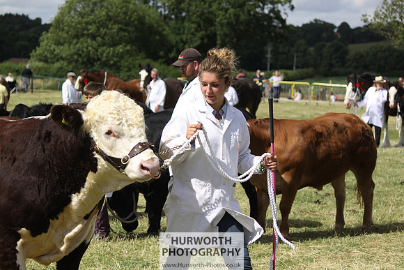 2013 Osmotherley Show 214
