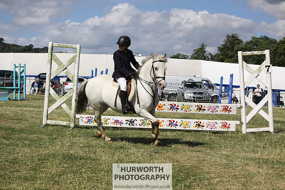 2013 Osmotherley Show 302