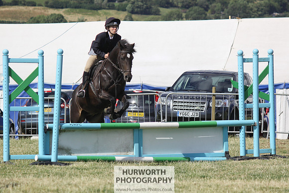 2013 Osmotherley Show 292