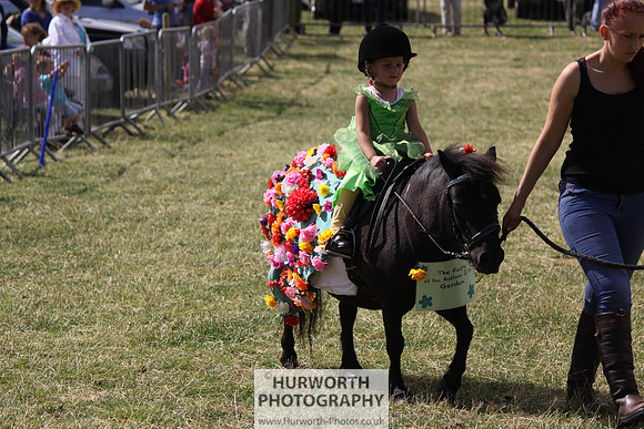 2013 Osmotherley Show 262