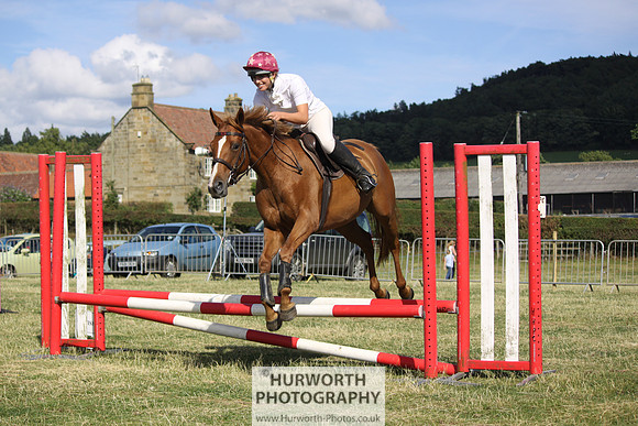 2013 Osmotherley Show 319